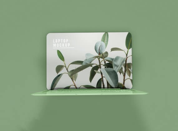 portfolio 6